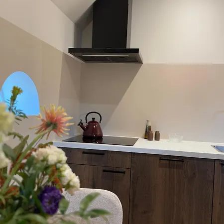 Boerderij De Voorste Eng Apartamento *