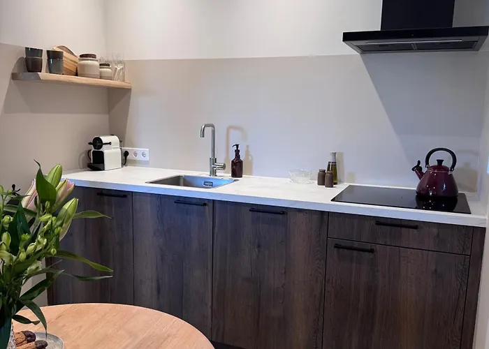 Apartamento Boerderij De Voorste Eng *