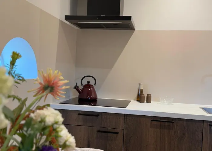 Boerderij De Voorste Eng Apartamento *