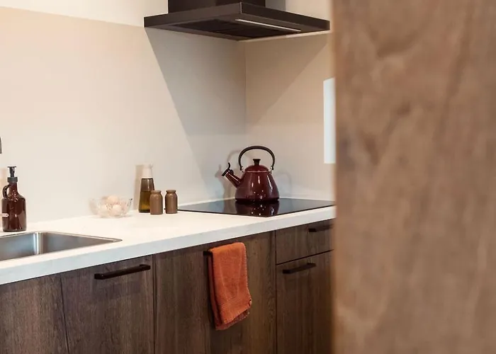 Apartamento Boerderij De Voorste Eng